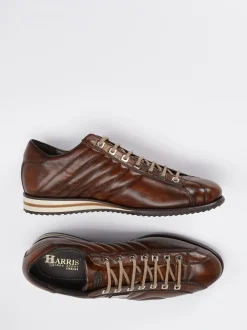 Harris – Sneaker aus geprägtem Glattleder Braun