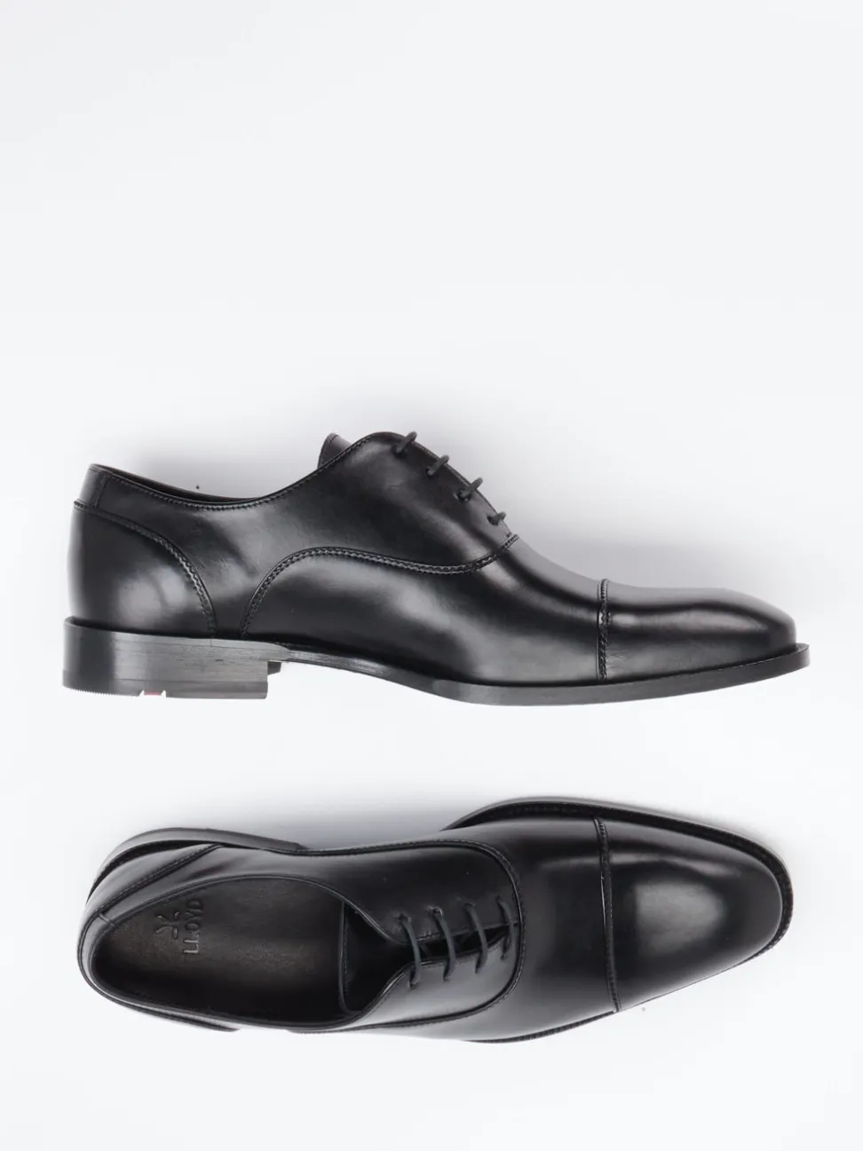 Lloyd – Oxford-Schnürschuh aus Kalbleder schwarz