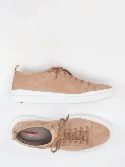Lloyd – Sneaker aus Veloursleder Sandbeige