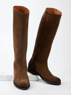 Pantanetti – Kniehohe Stiefel aus Veloursleder Braun