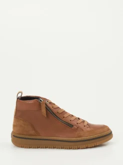 Paul Green – Mid-Top Sneaker aus Kalbleder cognacbraun