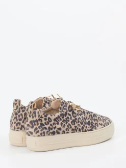 Paul Green – Sneaker aus Veloursleder mit Leoprint