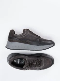 Solidus – Komfort-Sneaker aus Veloursleder grau